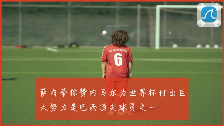 萨内蒂称赞内马尔为世界杯付出巨大努力是巴西顶尖球员之一